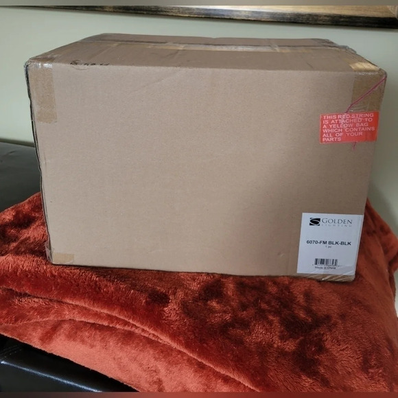 Golden Lighting Tribeca  Flush Mount Light - Black - Picture 4 of 6